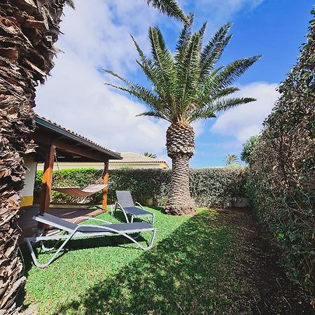 פורטו סנטו Quinta Do Ribeiro Salgado'S Beach House מראה חיצוני תמונה