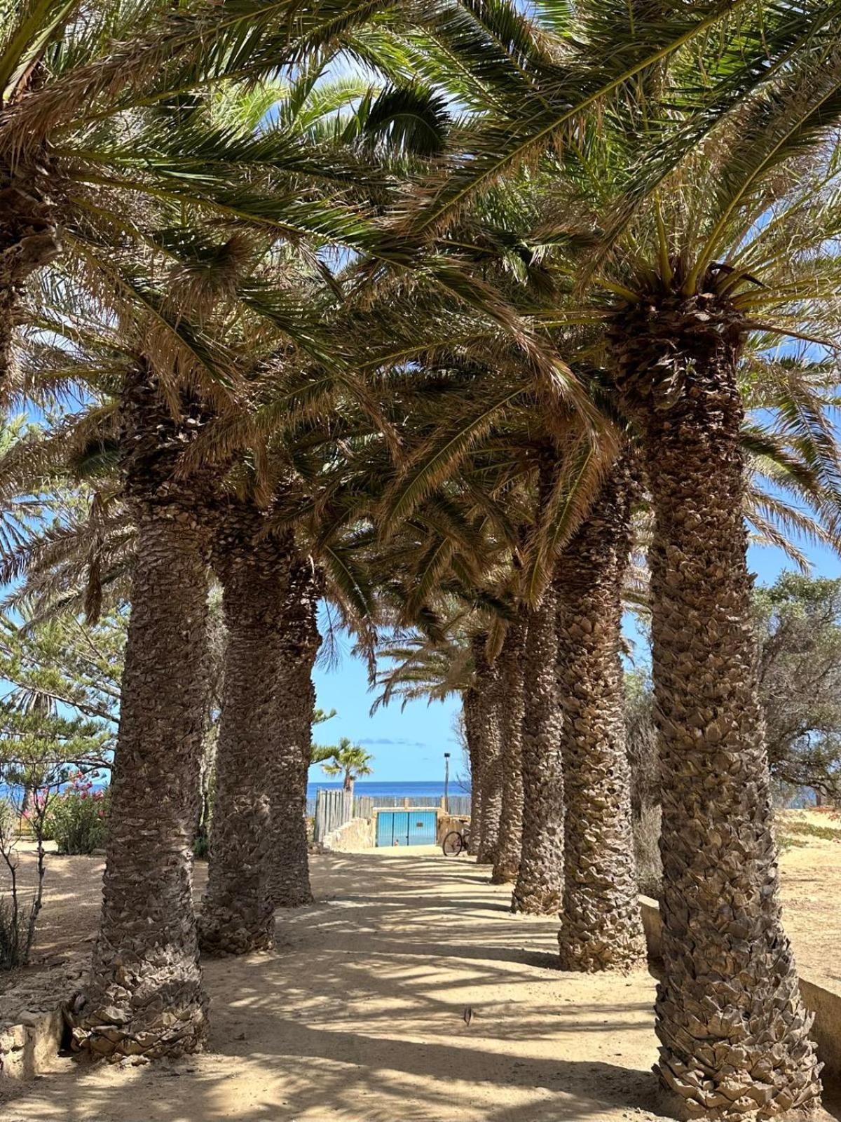 פורטו סנטו Quinta Do Ribeiro Salgado'S Beach House מראה חיצוני תמונה
